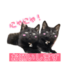 ふぅくぅスタンプ（個別スタンプ：2）