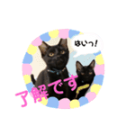 ふぅくぅスタンプ（個別スタンプ：5）