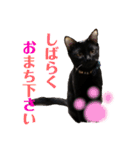 ふぅくぅスタンプ（個別スタンプ：6）