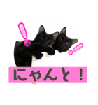 ふぅくぅスタンプ（個別スタンプ：7）