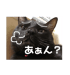 ふぅくぅスタンプ（個別スタンプ：8）