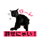 ふぅくぅスタンプ（個別スタンプ：9）