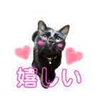 ふぅくぅスタンプ（個別スタンプ：11）