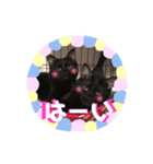 ふぅくぅスタンプ（個別スタンプ：14）