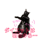 ふぅくぅスタンプ（個別スタンプ：19）