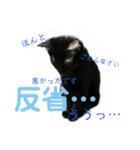 ふぅくぅスタンプ（個別スタンプ：22）