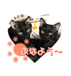 ふぅくぅスタンプ（個別スタンプ：23）