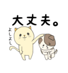 おもにねこ（個別スタンプ：14）