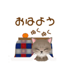 ネコの"hakka"の可愛い日常スタンプ_No.3（個別スタンプ：1）