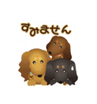 ネコの"hakka"の可愛い日常スタンプ_No.3（個別スタンプ：31）