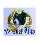 メリアとアキレウス（個別スタンプ：1）