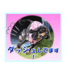 メリアとアキレウス（個別スタンプ：2）