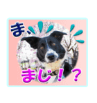 メリアとアキレウス（個別スタンプ：3）