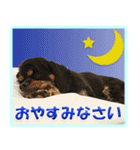 メリアとアキレウス（個別スタンプ：4）