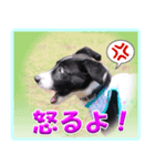 メリアとアキレウス（個別スタンプ：5）