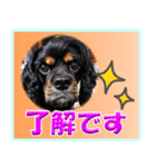 メリアとアキレウス（個別スタンプ：6）