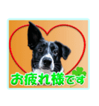 メリアとアキレウス（個別スタンプ：7）
