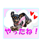 メリアとアキレウス（個別スタンプ：8）