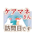 在宅介護＊見守り文鳥（個別スタンプ：17）