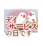 在宅介護＊見守り文鳥（個別スタンプ：18）