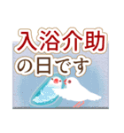 在宅介護＊見守り文鳥（個別スタンプ：23）