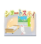 在宅介護＊見守り文鳥（個別スタンプ：24）