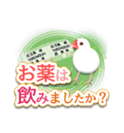 在宅介護＊見守り文鳥（個別スタンプ：26）