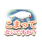 在宅介護＊見守り文鳥（個別スタンプ：28）