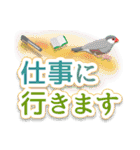 在宅介護＊見守り文鳥（個別スタンプ：31）