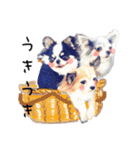 チワワのピノさんのスタンプ32（個別スタンプ：1）