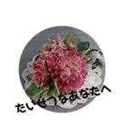 やさしい花flower（個別スタンプ：3）
