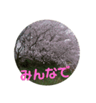 やさしい花flower（個別スタンプ：7）