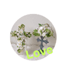 やさしい花flower（個別スタンプ：8）
