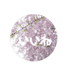 やさしい花flower（個別スタンプ：12）