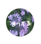 やさしい花flower（個別スタンプ：13）