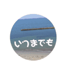 やさしい花flower（個別スタンプ：15）