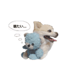 わるつくんのスタンプ 2（個別スタンプ：17）