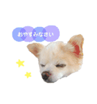 わるつくんのスタンプ 2（個別スタンプ：19）