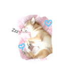手作り可愛いスタンプです！（個別スタンプ：2）