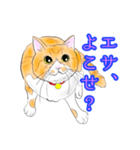 ぼくは、ちゃも（個別スタンプ：1）