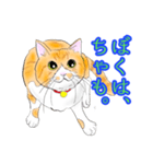 ぼくは、ちゃも（個別スタンプ：3）