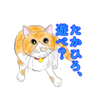 ぼくは、ちゃも（個別スタンプ：4）