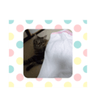 れんたろうさん（個別スタンプ：6）