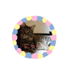 れんたろうさん（個別スタンプ：7）