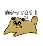 たぬきofficial（個別スタンプ：34）