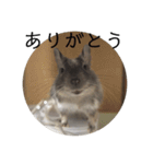 ちょろスタンプ（個別スタンプ：3）