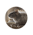 ちょろスタンプ（個別スタンプ：27）