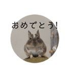 ちょろスタンプ（個別スタンプ：28）