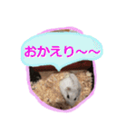 Loove Pets（個別スタンプ：15）