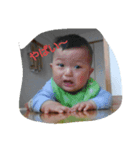 虎ノ介（個別スタンプ：6）